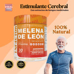 Potenciador Cerebral MELENA DE LEON™  Hongo Medicinal