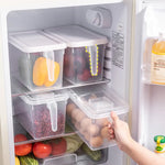 ORGANIZADOR CON TAPA TRANSPARENTE X3