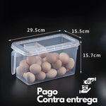 ORGANIZADOR CON TAPA TRANSPARENTE X3