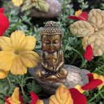 Buda🌟 x3 Unidades